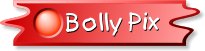 Bolly Pix